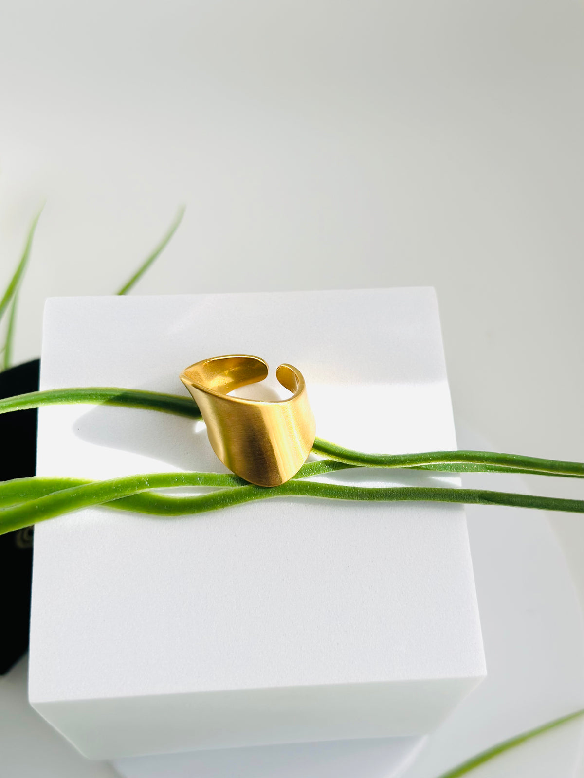 CONCAVE RING